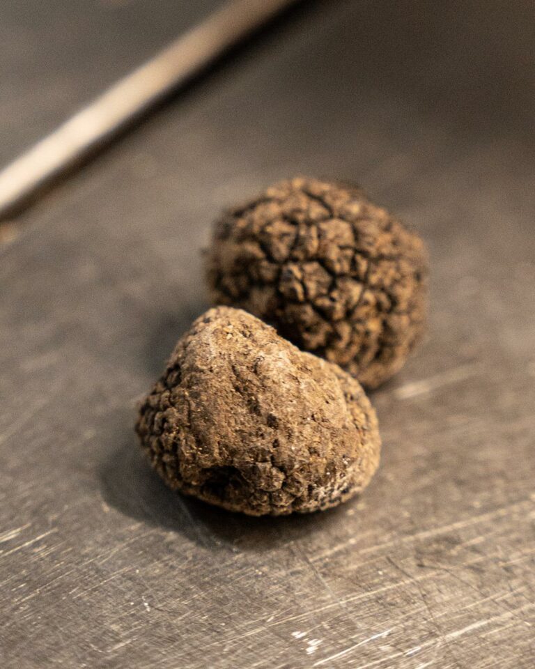 Ristorante Les Jorasses • Un'Eccellenza Gastronomica nel Cuore di Courmayeur