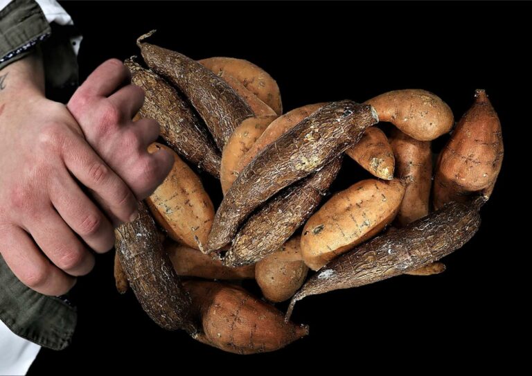 Ristorante Les Jorasses • Un'Eccellenza Gastronomica nel Cuore di Courmayeur